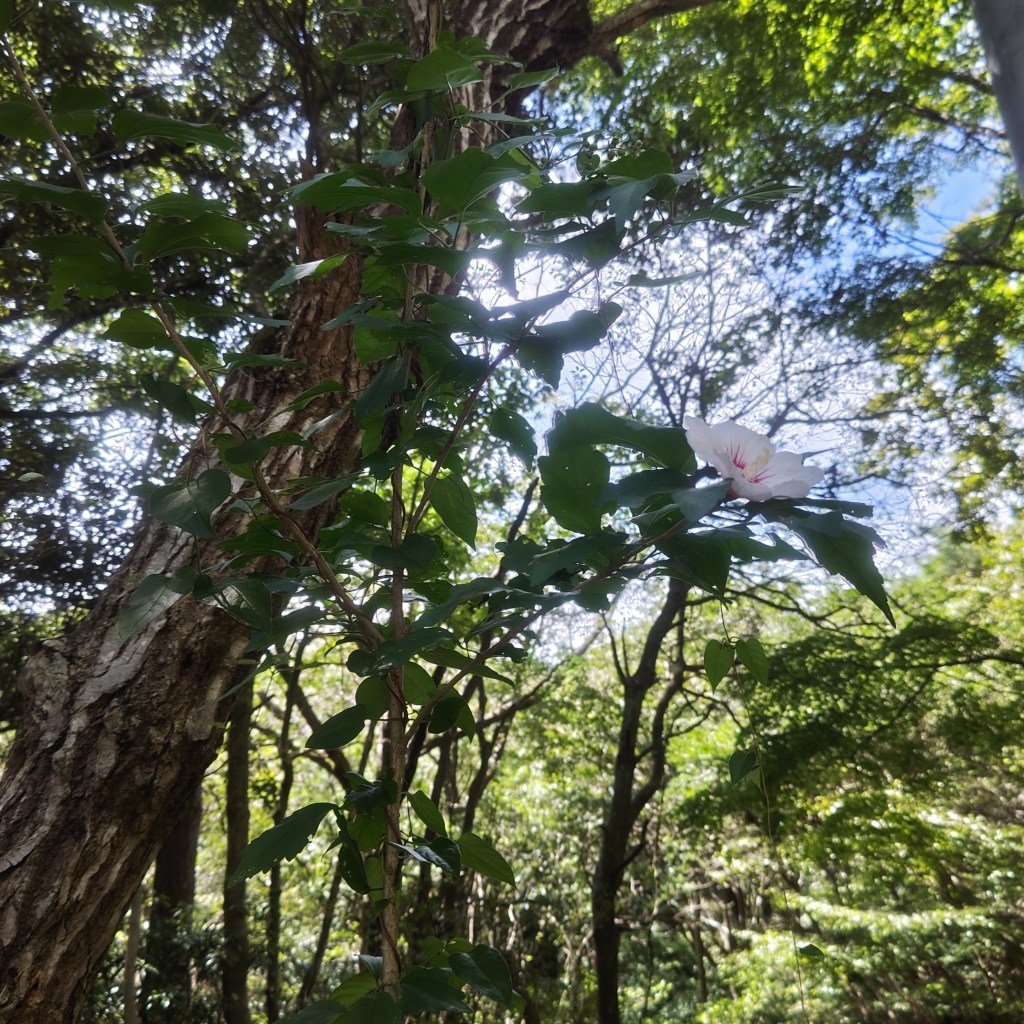 言葉がアナタの幸せを作ります！