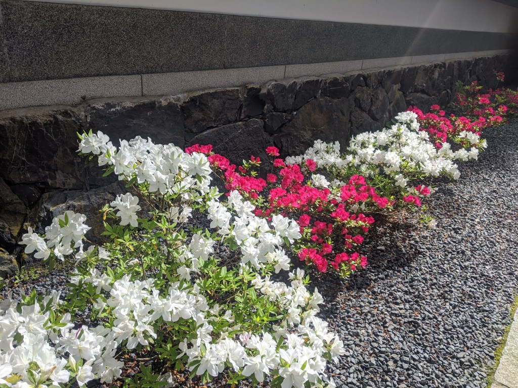 俺、皆に嫌われているのかな？　                       役職定年男性の涙