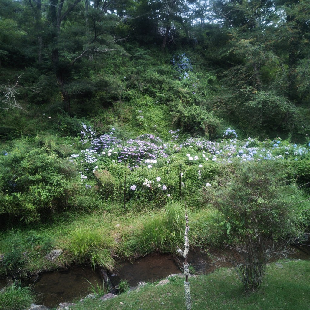 高野山への誘い②