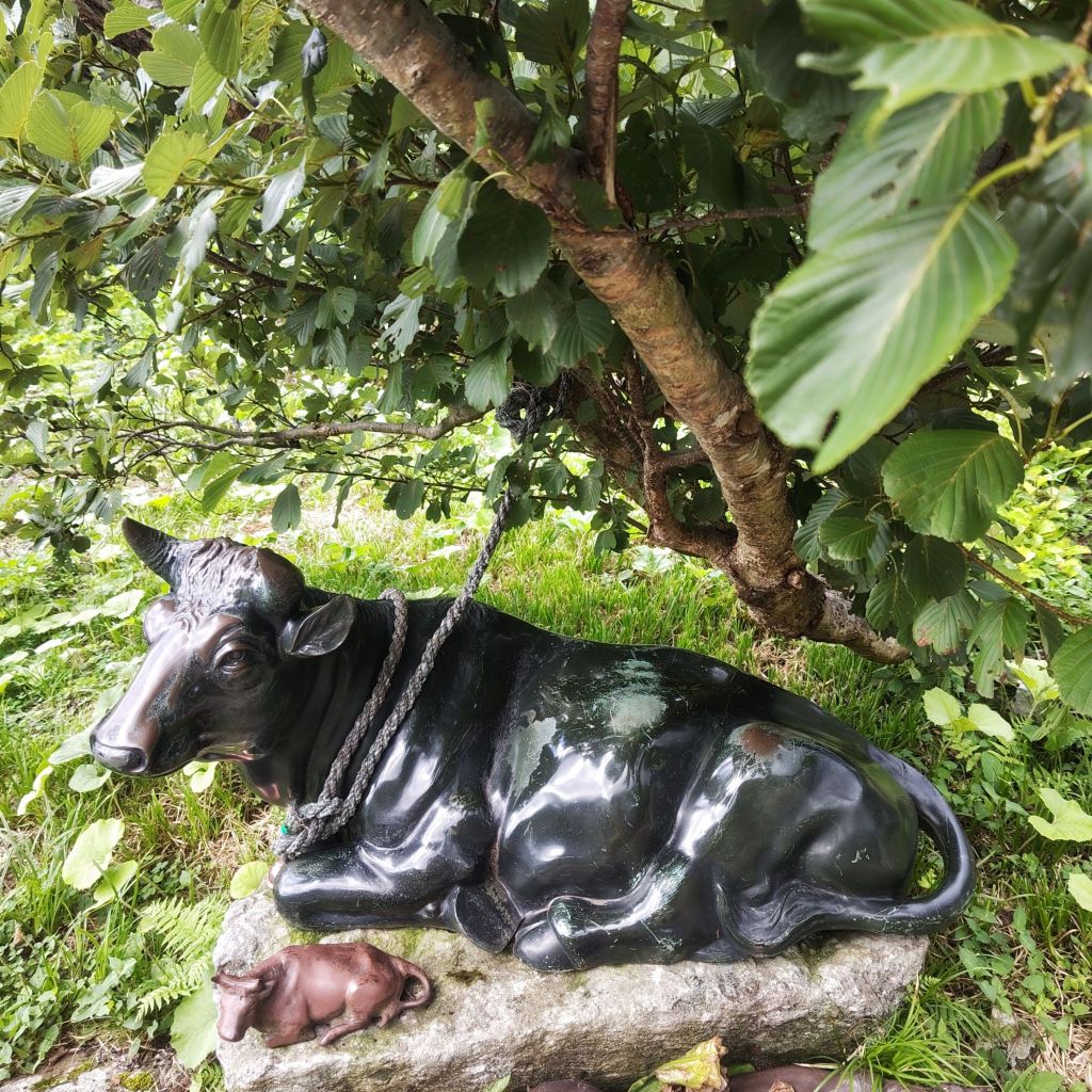 写真で学ぶ仏教