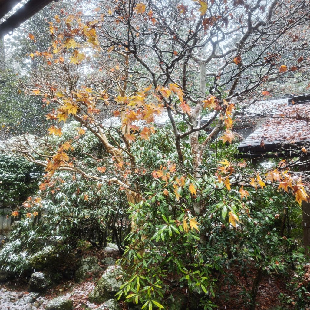 写真で学ぶ仏教