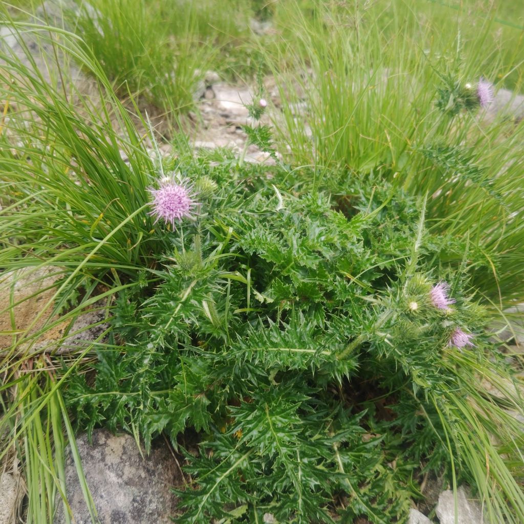 転ばぬ先の○○！