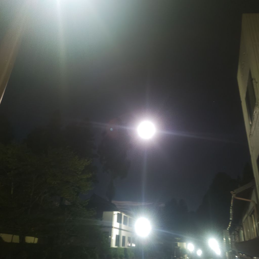 高野山への誘い⑤