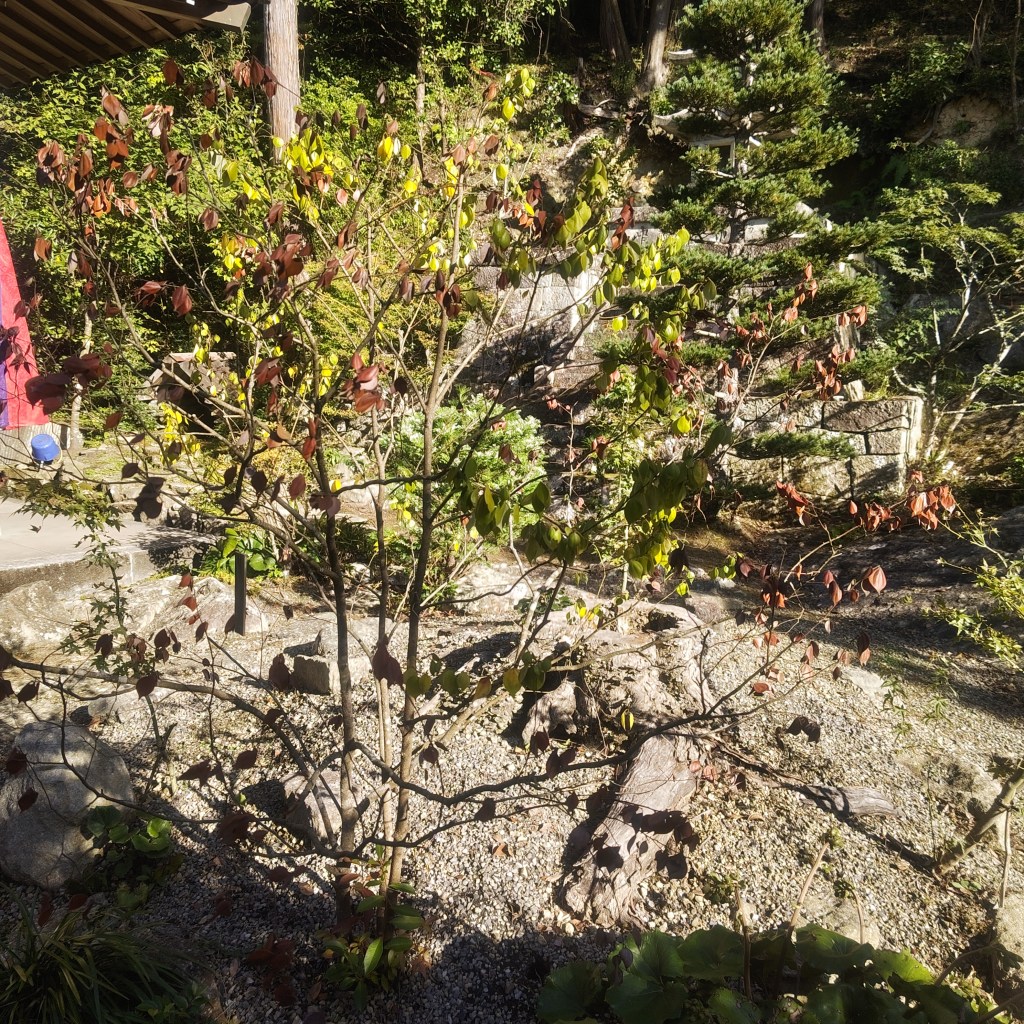 写真で学ぶ仏教〜大切な人から受け入れがたい言葉を話された時〜
