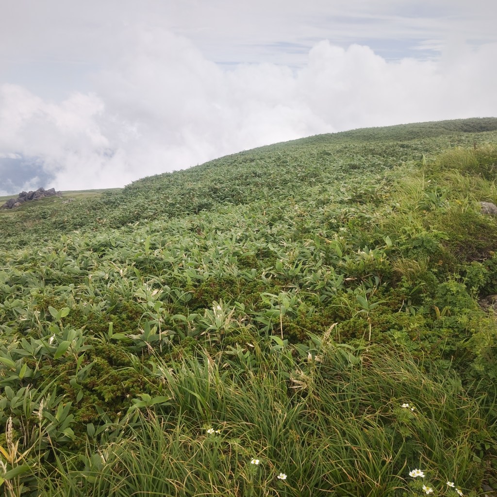 写真で学ぶ仏教〜仕事で思い通りにいかず職場でつい不満が口から漏れてしまうあなたへ〜