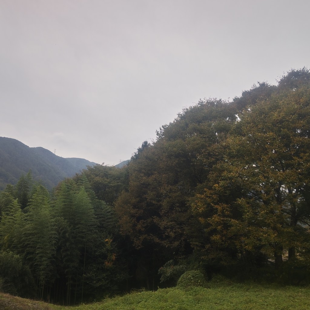 写真で学ぶ仏教