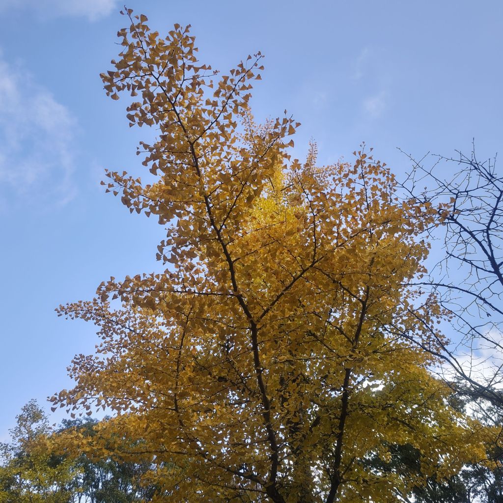 写真で学ぶ仏教〜一つの商談がうまく行き、心が躍っている時に更に運気を上げて仕事に勢いをつけたいあなたへ〜