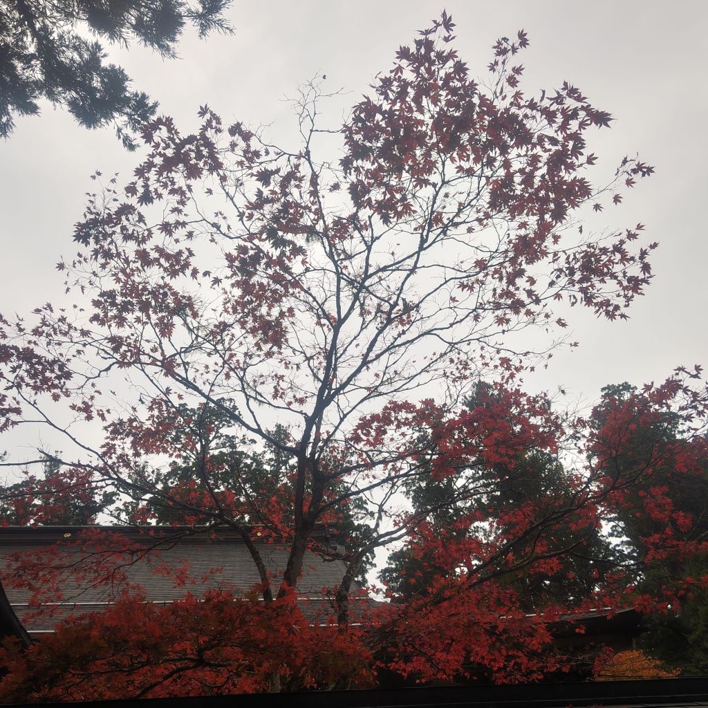 失敗から学ぶ大切さ！