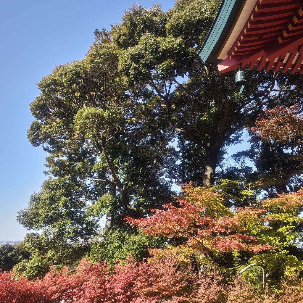 愚痴を言いたいあなたへ言葉の選び方次第で未来は変わる！