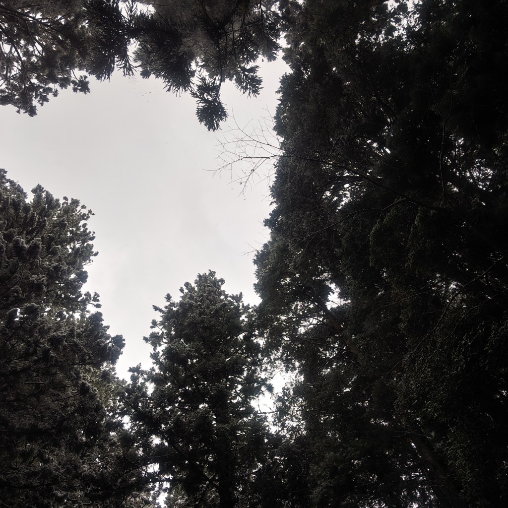 写真で学ぶ仏教〜会社で上司から叱られて、心が沈んでしまった時にたった一つのこと〜