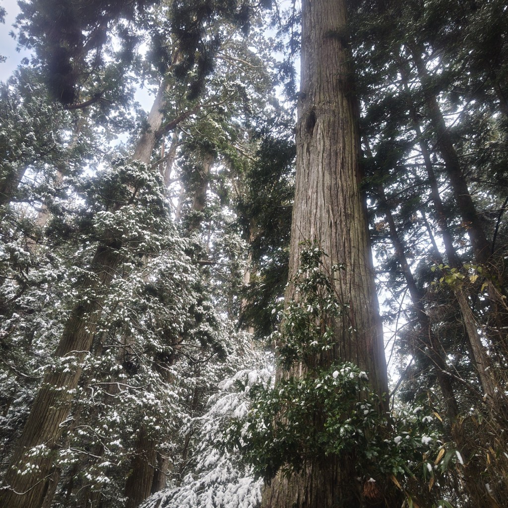 写真で学ぶ仏教〜仏教から見る人生の壁にぶつかり、迷いにある中で絶対にやったほうが良い一つのこととは？〜