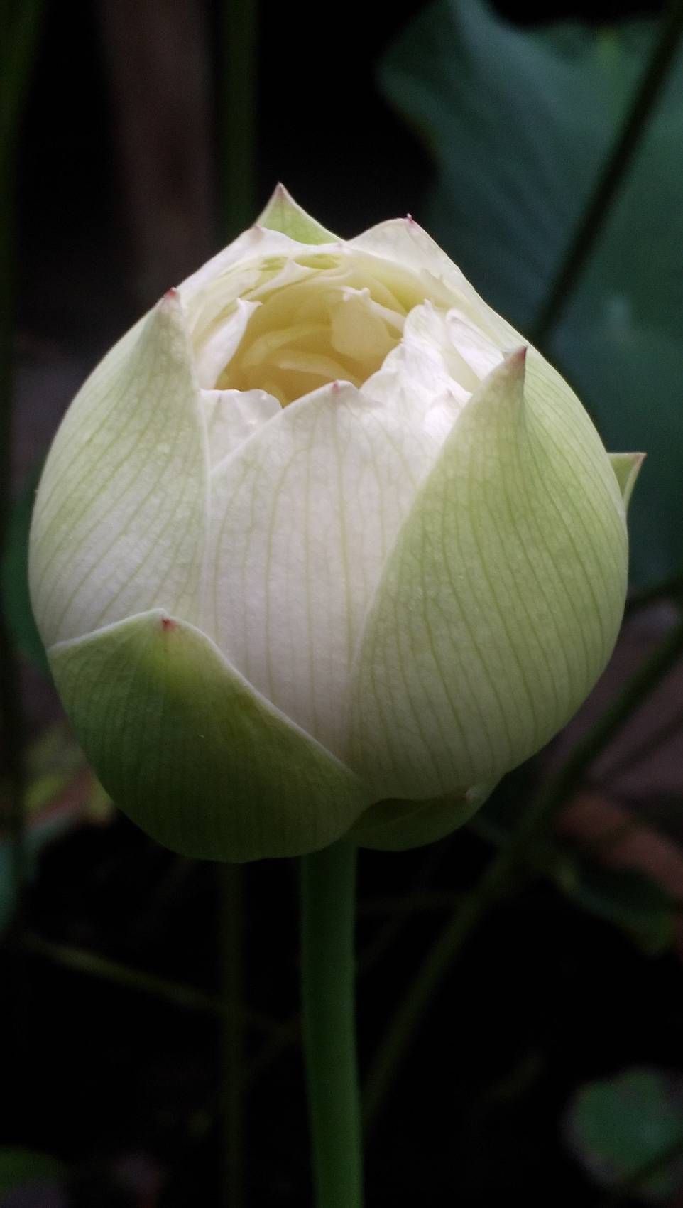 写真で学ぶ仏教〜この人だったらついて行ける、と思った上司に出会った時に絶対にやっておくべきこととは？〜