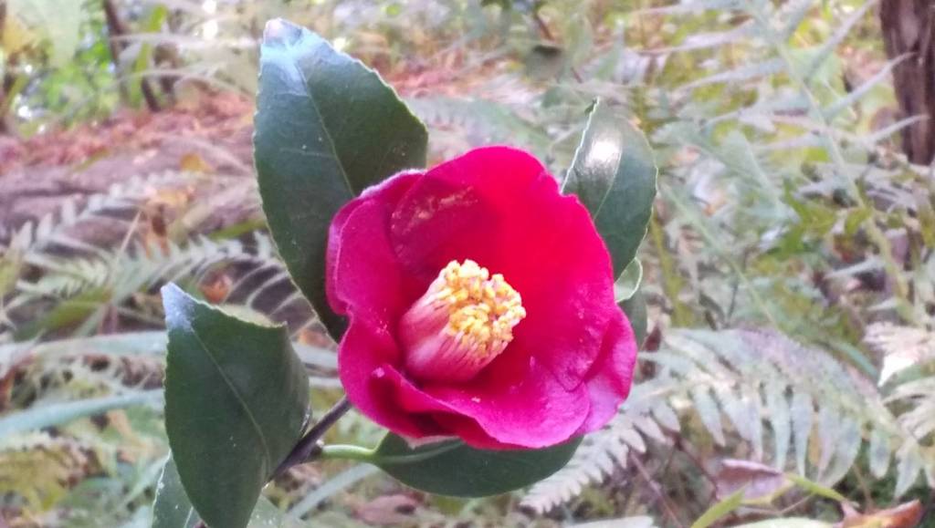 写真で学ぶ仏教〜偉そうなことを言うくせに、いざとなると逃げてしまう人を上司に持つあなたへ〜