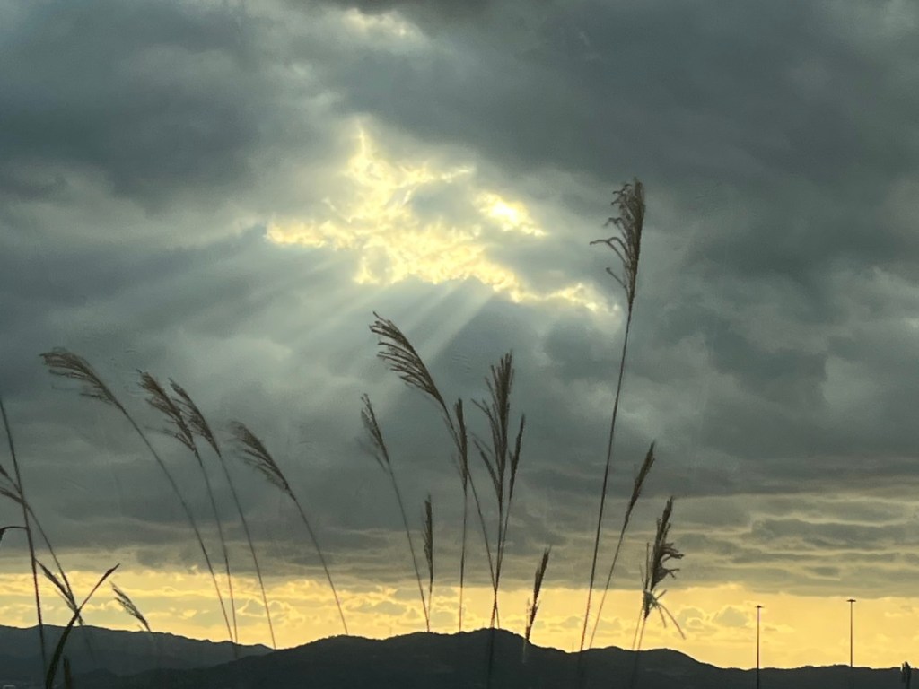 写真で学ぶ仏教〜仕事や色々なことに追われながらも、一日一日幸福感に包まれて過ごすために必要なたった一つのこととは?〜