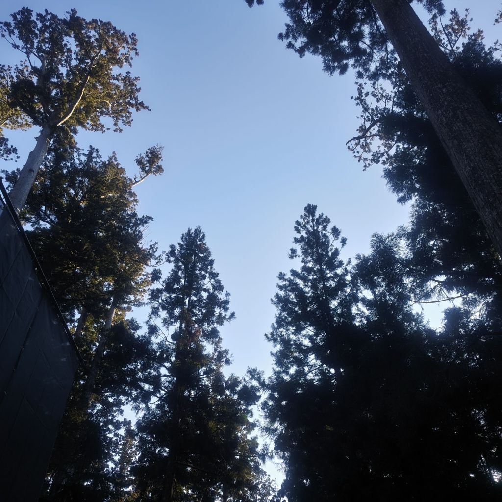 写真で学ぶ仏教〜みるみる内に自分の環境を改善する。お坊さんが思う年始めに絶対に実践して欲しいこと！〜