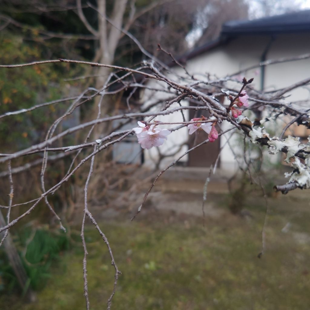 写真で学ぶ仏教〜会社や上司に激しく叱責されることが続いて、心が折れそうな時に必要なこととは？〜