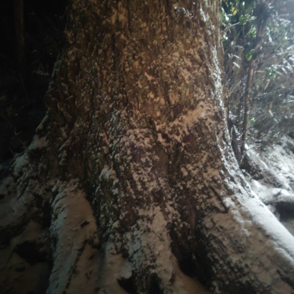 写真で学ぶ仏教〜知らず知らずに自分の周りから人が去っていく！そうならないために絶対に忘れないで欲しい格言「短気は〇〇」〜