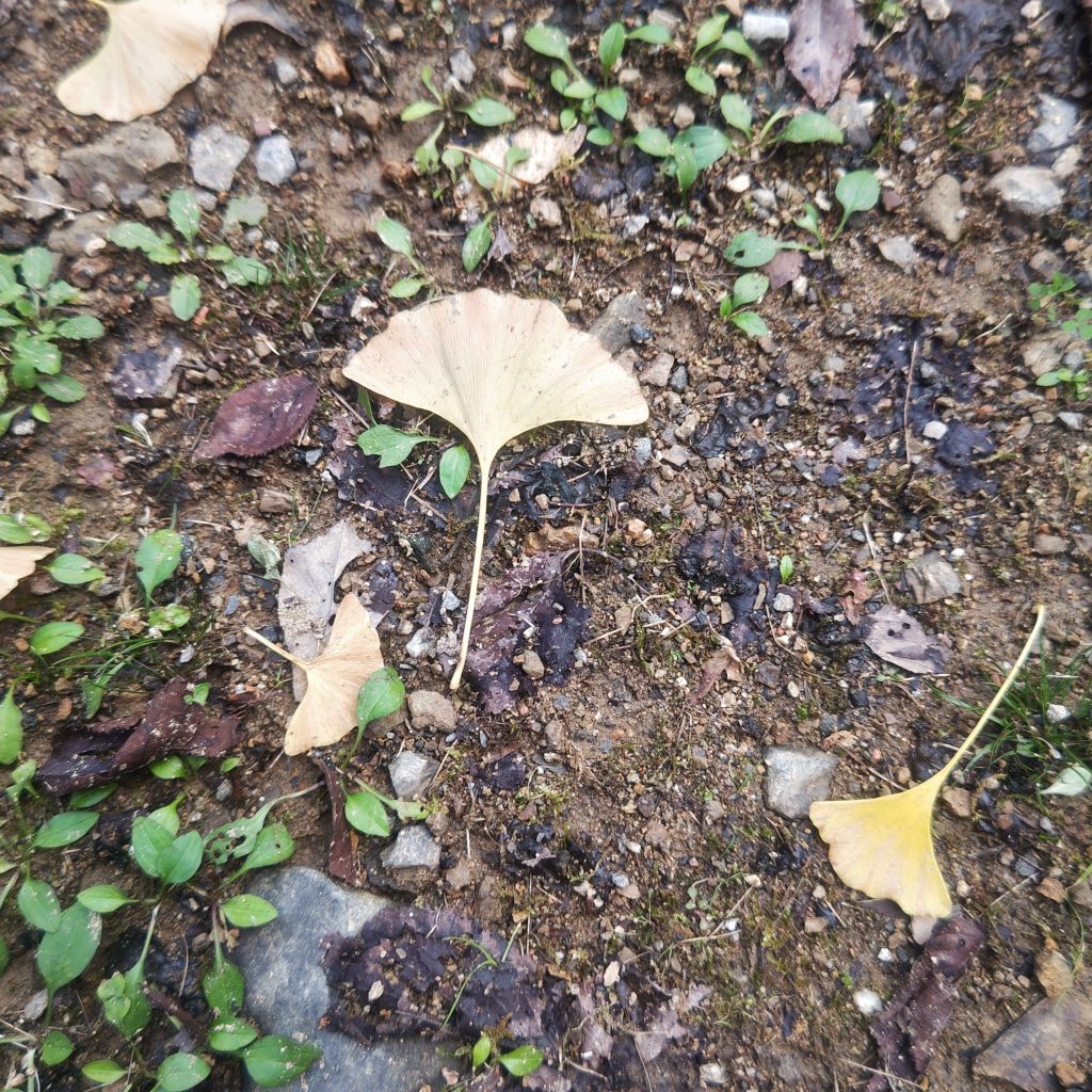 失敗大魔王が伝える！失敗しない為のあれ①