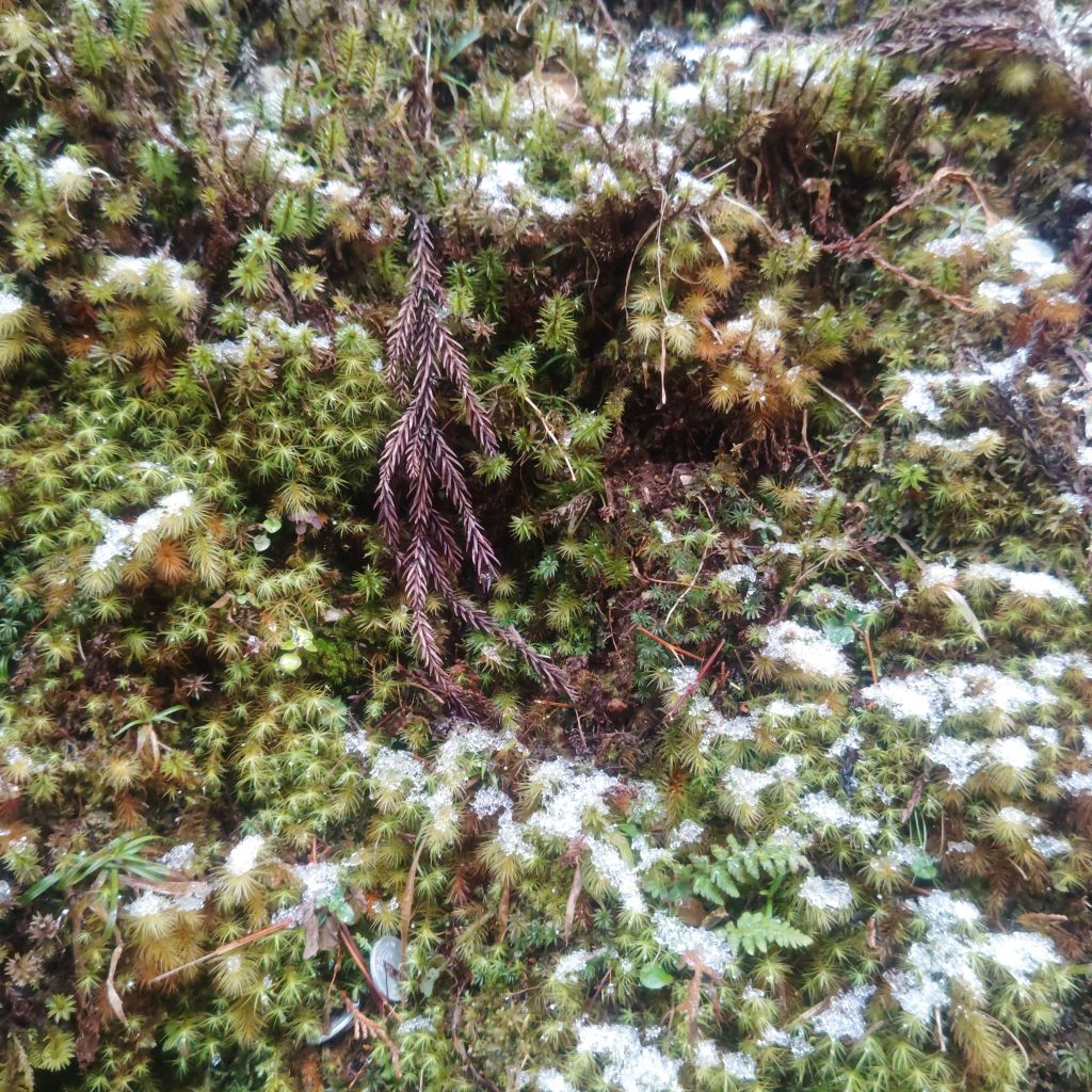 写真で学ぶ仏教〜初任給と休みを使って、お坊さんがオススメする未来への投資とは？〜