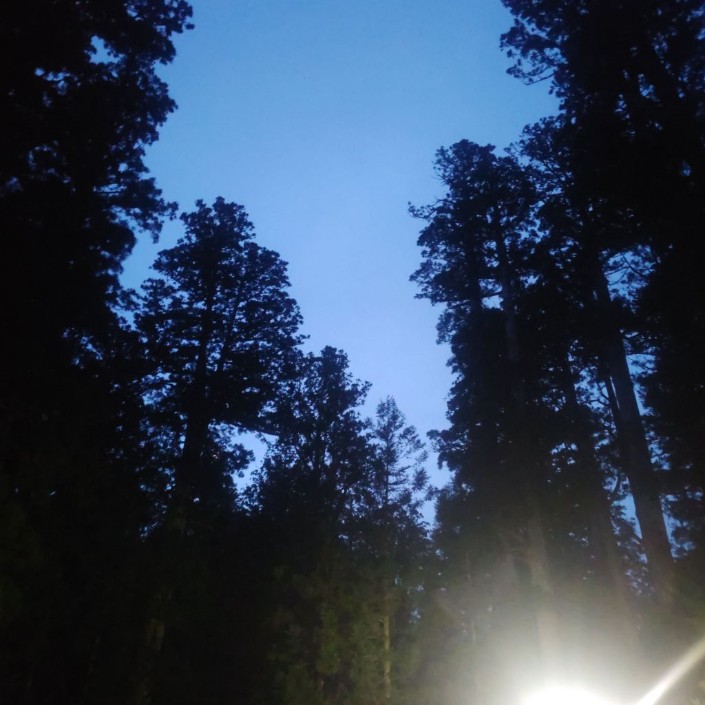 写真で学ぶ仏教〜いざという時に助けてくれるものは何でしょうか？あなたを救うのは、あなたの〇〇〇です〜