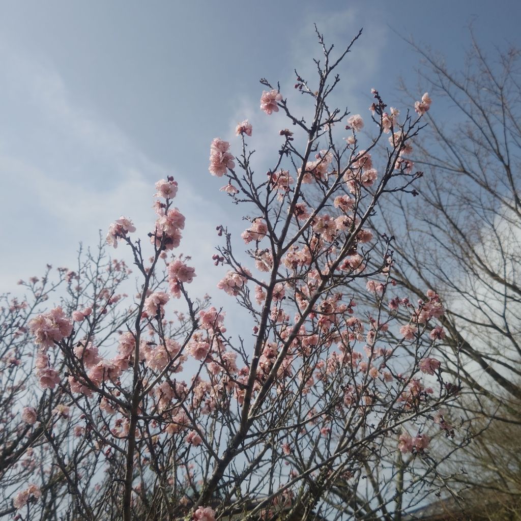 写真で学ぶ仏教〜昼休みの過ごし方で人生が変わる!?5分で出来る自分への投資とは?〜