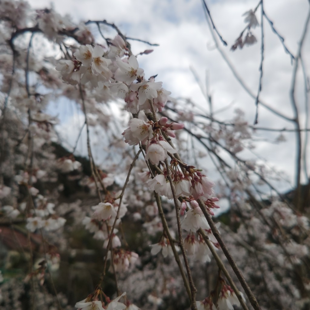 写真で学ぶ仏教〜物事を見る角度を固定することで起こる悲しみ😢と違う角度から観る事で新しい学びがある驚き😲〜