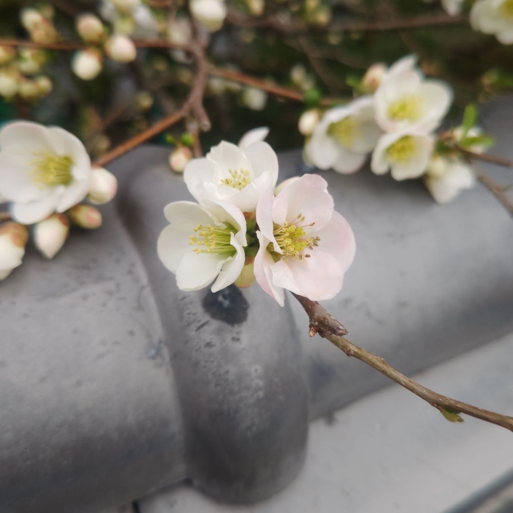 写真で学ぶ仏教〜絶対にこの話しが出たら、すぐその場から離れた方が良い話しとは?〜
