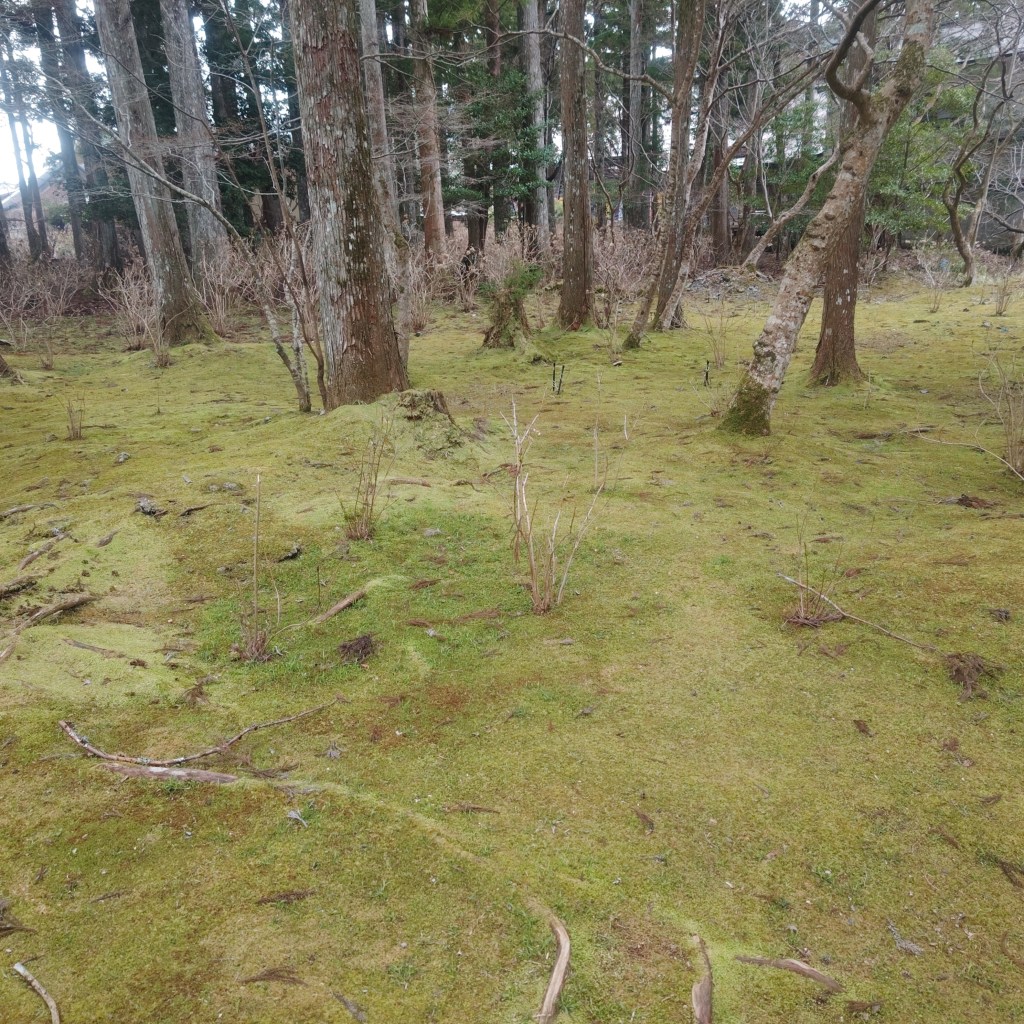 写真で学ぶ仏教〜ひがみ根性が生む争い😢あなたは大丈夫ですか?〜