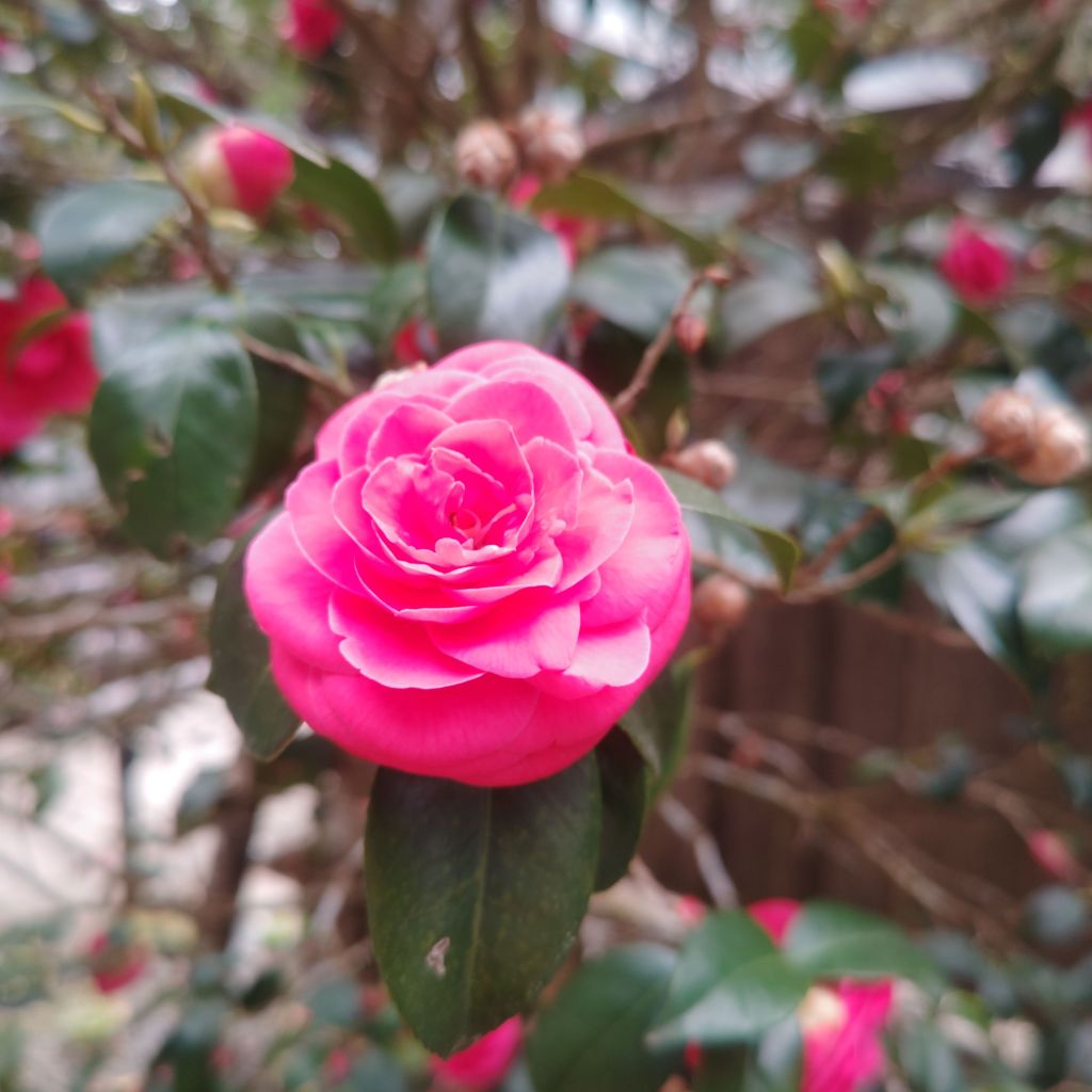 もしかして、仏さまが私の名前を呼んでいる？「ご真言」に秘められた不思議な力！