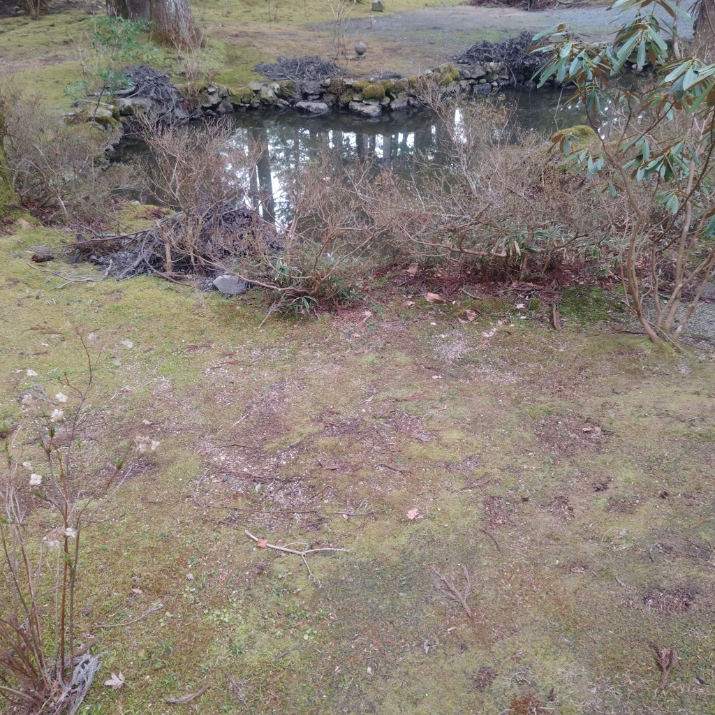 高野山への誘い⑩〜自然のシンフォニーをあなたへ届けたい〜