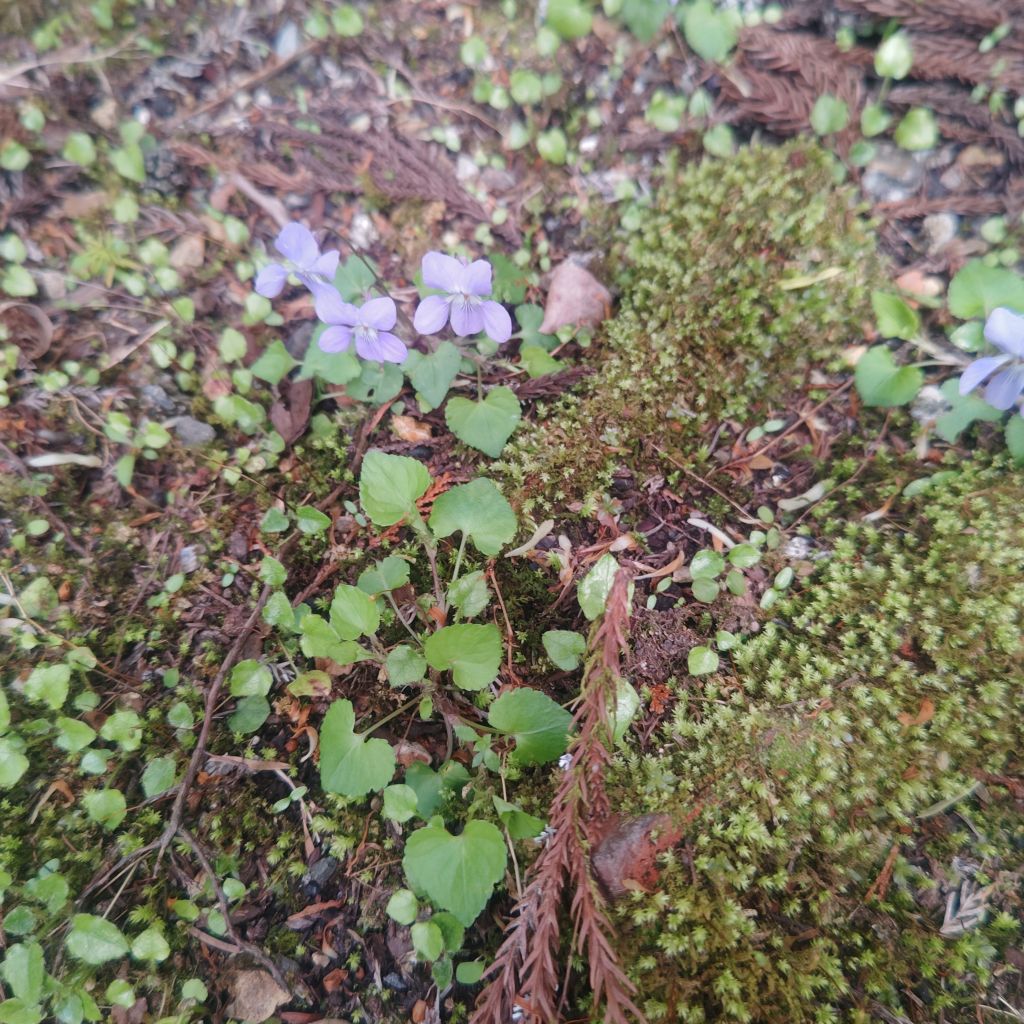 話しを聞いてくれる嬉しさ！本当に有り難うございます！！