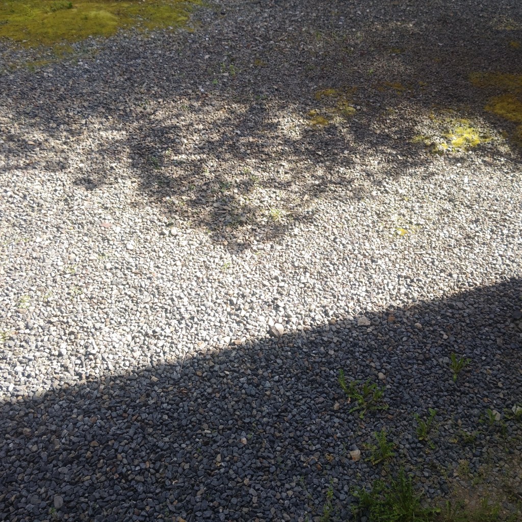 他人の痛みに気付くこと-信頼で結ばれる喜び