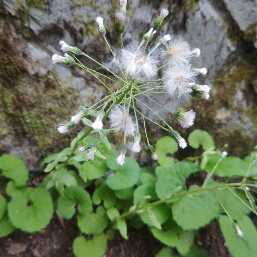 迷いも焦りも私の一部〜お坊さんが見つめる「魔が差す」瞬間〜