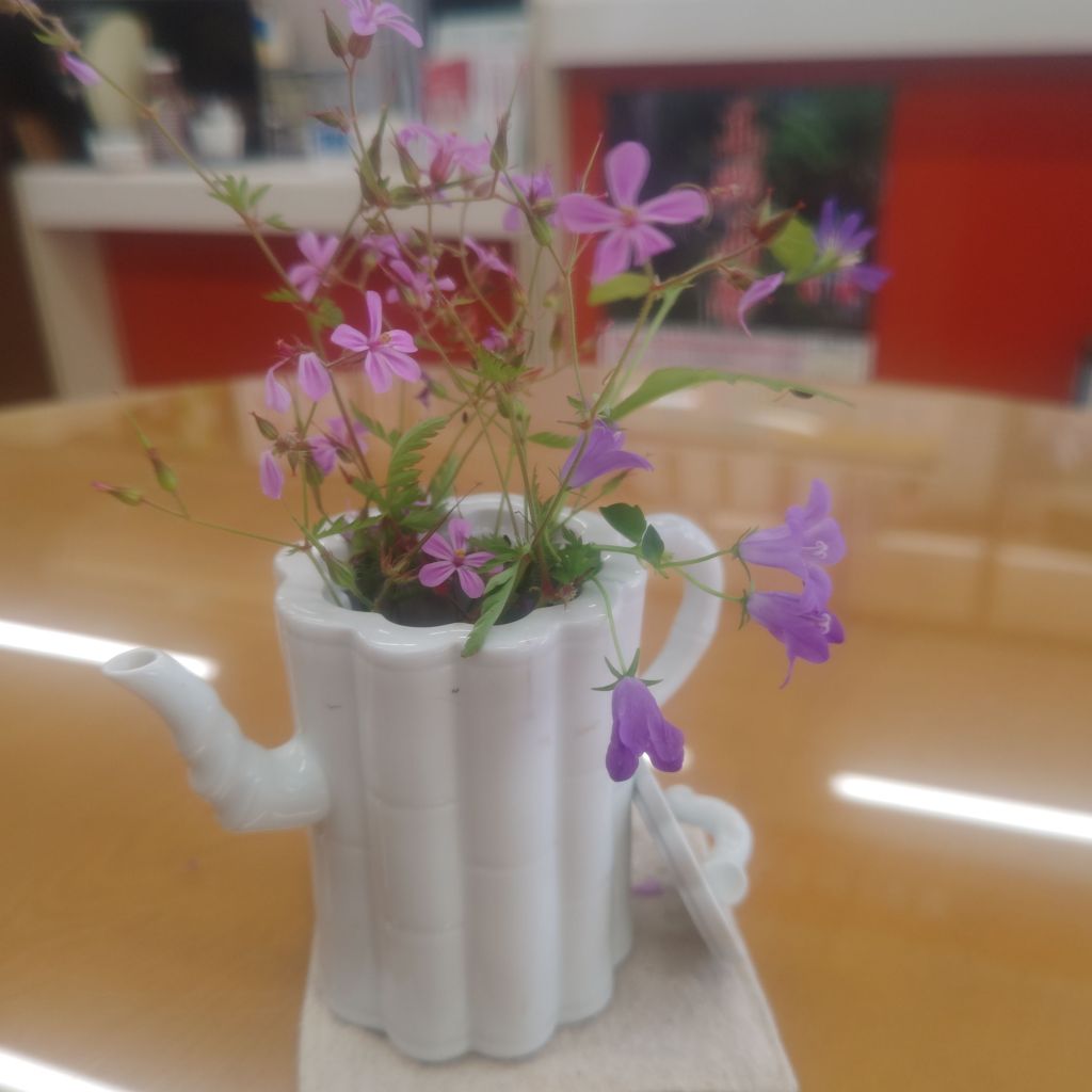 「えっ、そうだったの⁉️」異文化あるある発見ノート