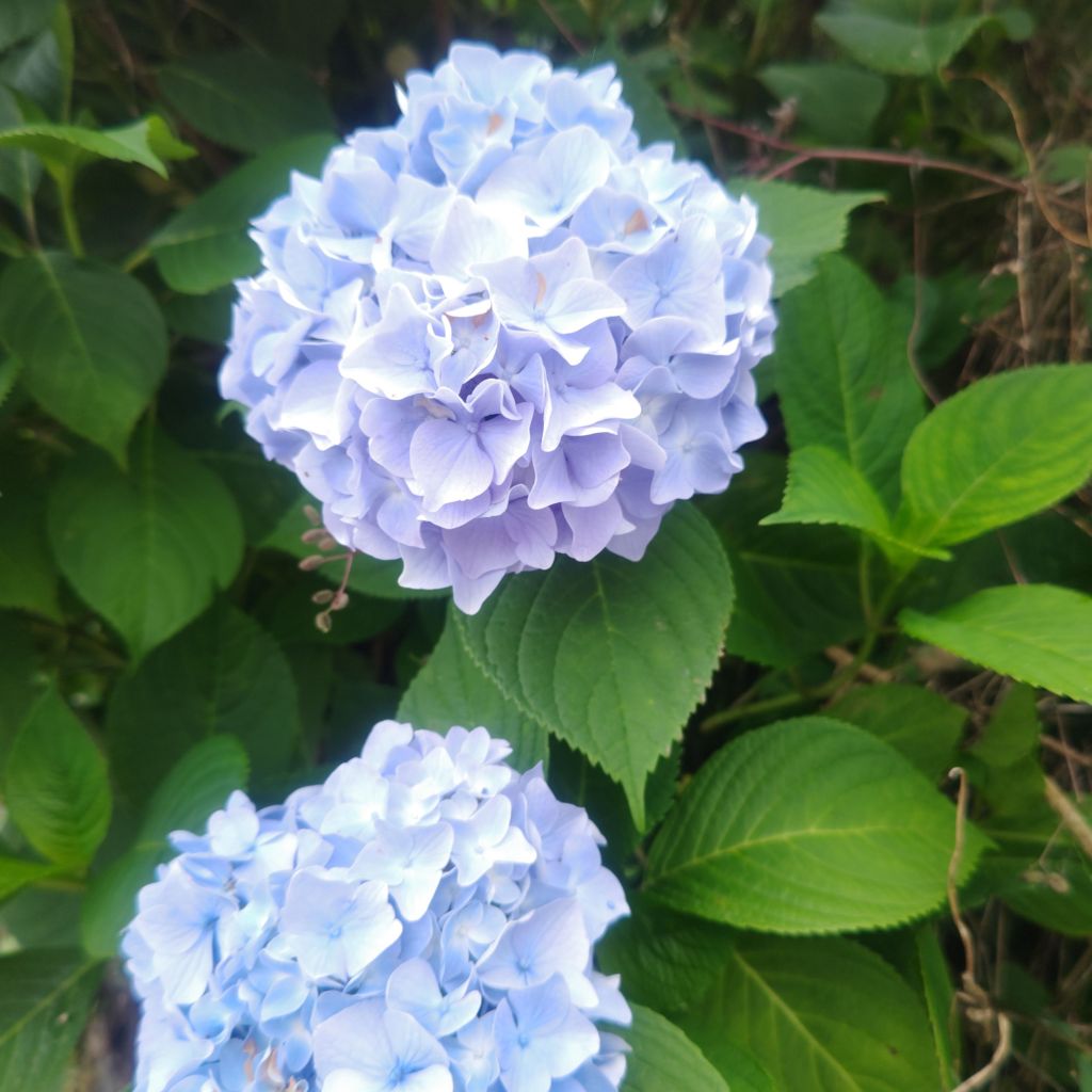 デコボコな自分でいい。弘法大師の教えと私らしい生き方