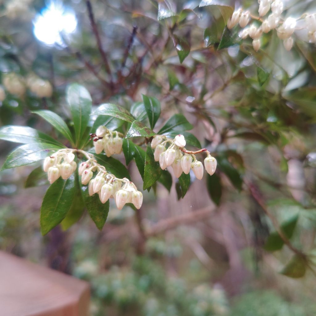 心に響く「プロ意識」の真実：たった一つの気づきが人生を輝かせた日