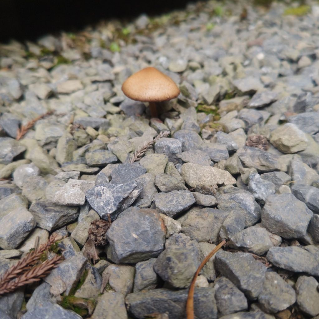 「どうせ私には無理」は本当？あなたの可能性を広げるヒント