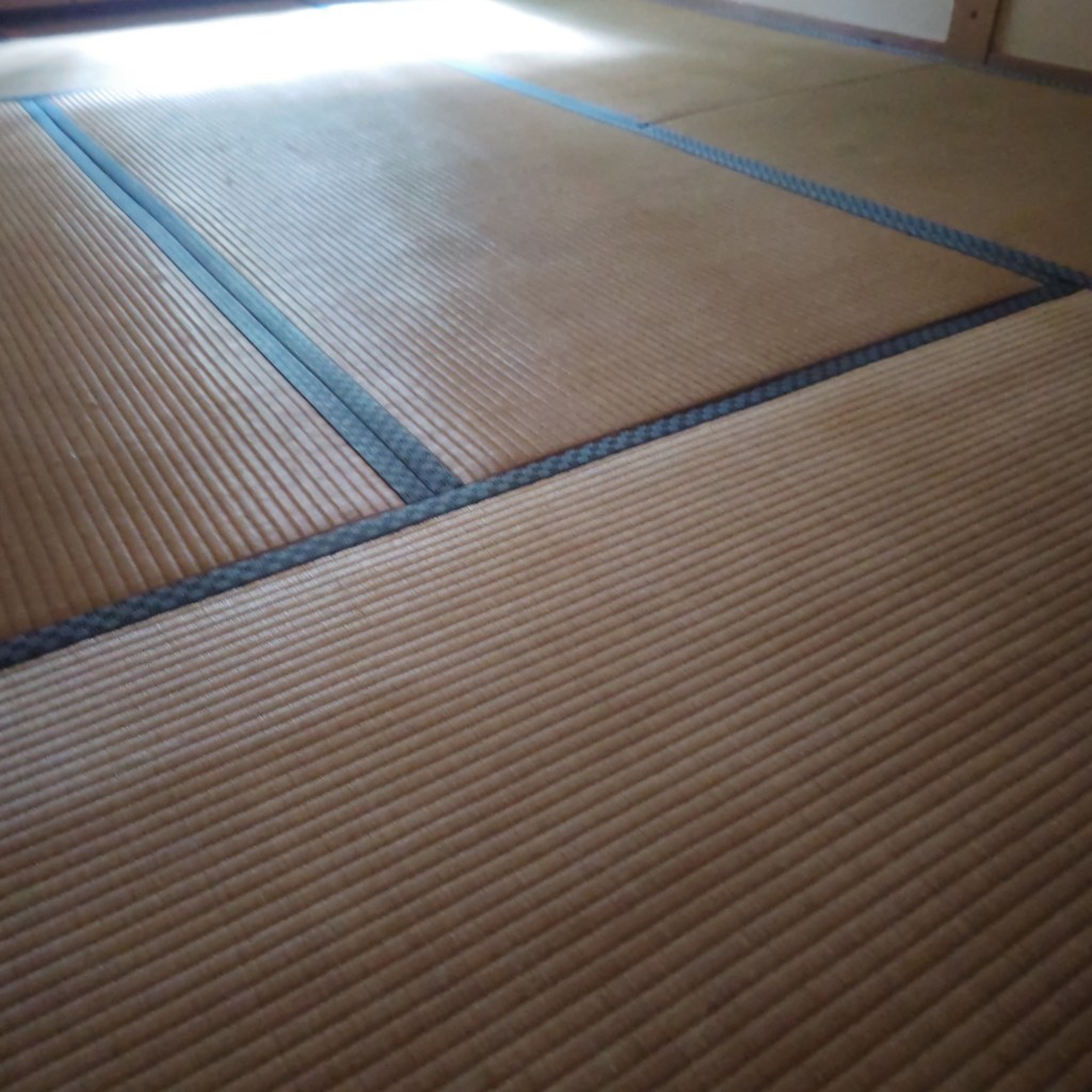 だらけているだけじゃダメ！お坊さんが語る「果報は寝て待て」の正しい使い方【仏教の教養】