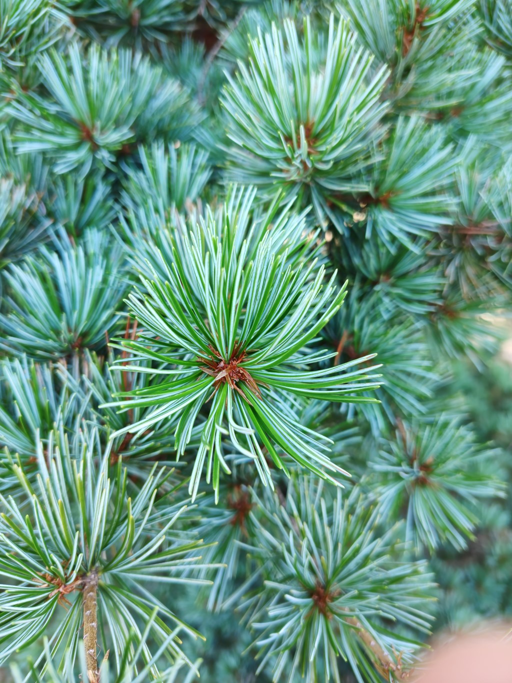 心がざわざわするあなたへ。「無事是貴人」の本当の意味を知れば生き方が変わる！？【仏教の教養】