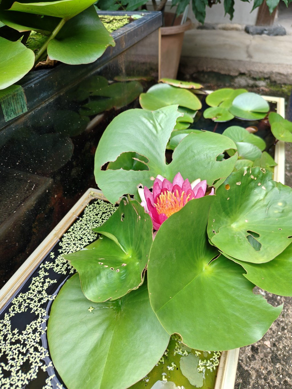 我慢しなくていいんだよ！仏教が教える本当の意味