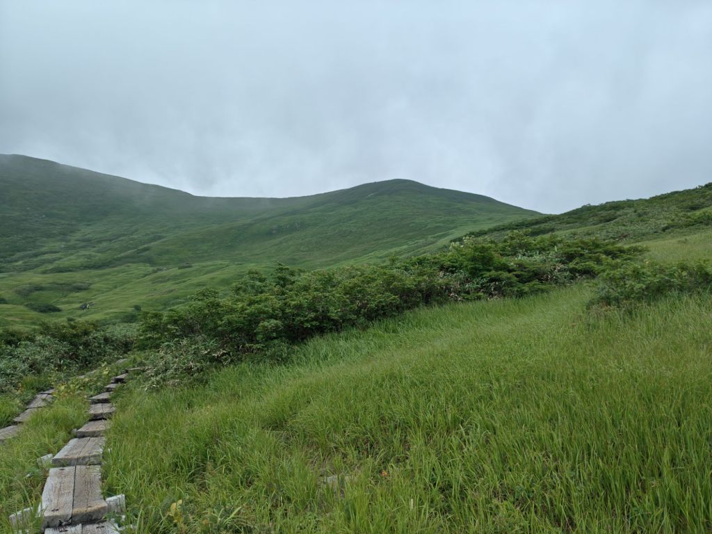 2508201345589682030450292334962063