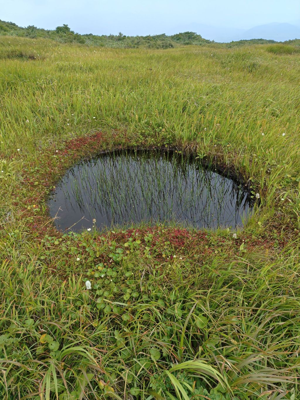 「制限」という言葉が、人生を豊かにする仏教の教えだった件