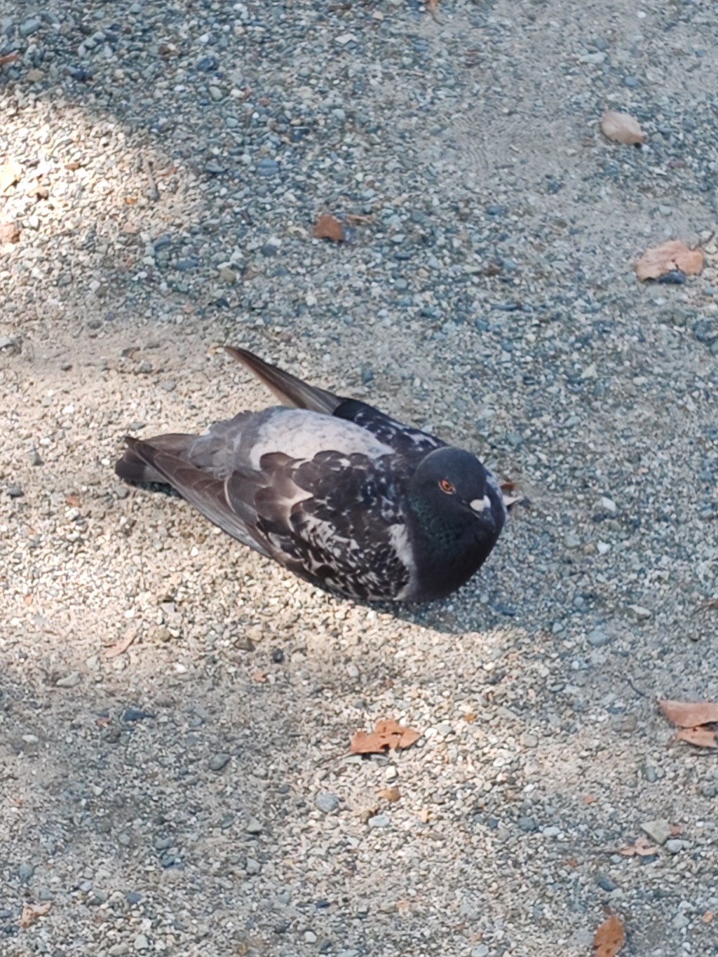 仏教用語「葛藤」の仏教的意味と、人生を強くする力
