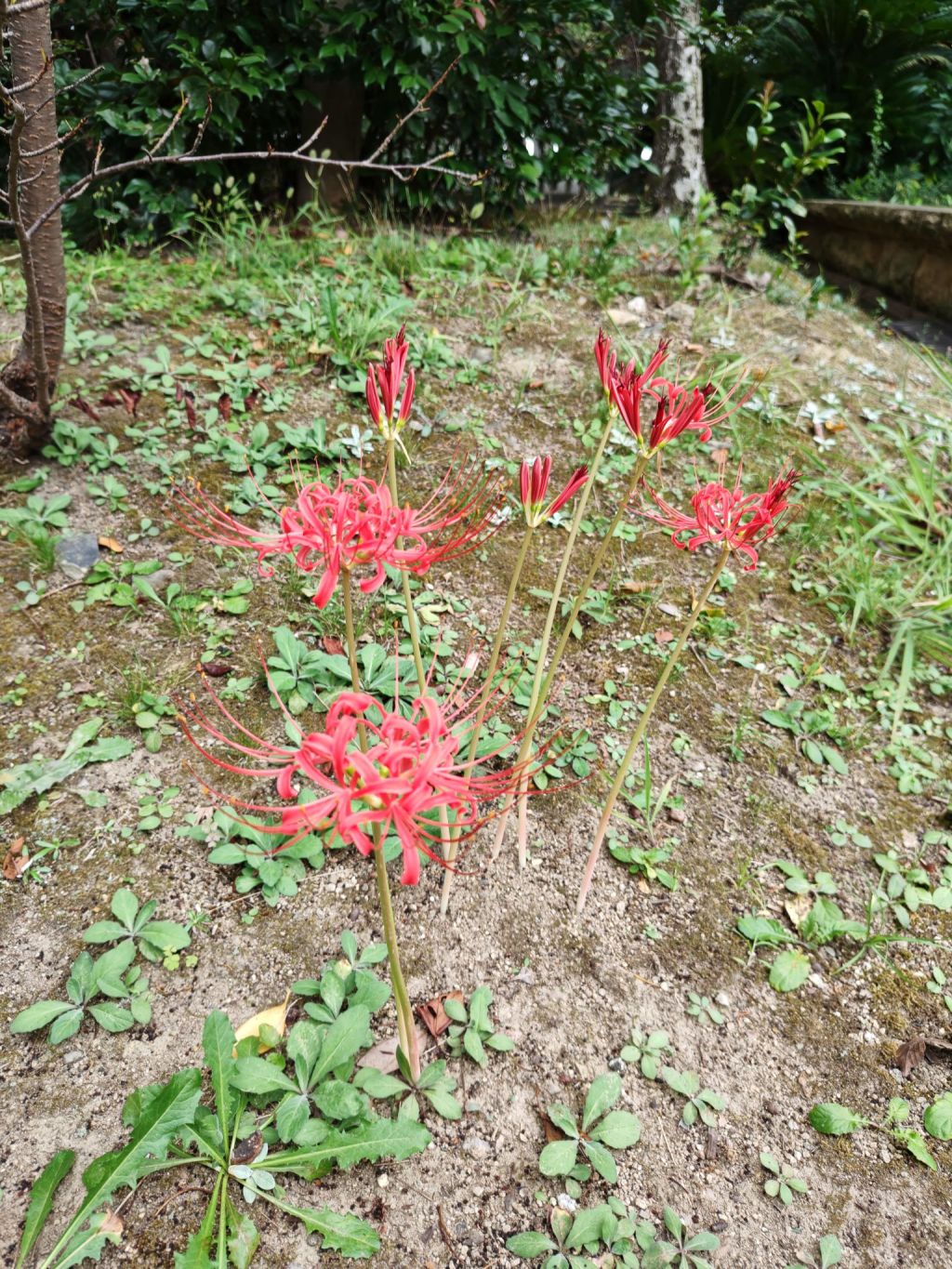 「過度」は「悪い」意味じゃない？ 辞書を裏切る仏教用語：語源に隠された「救い」の真実