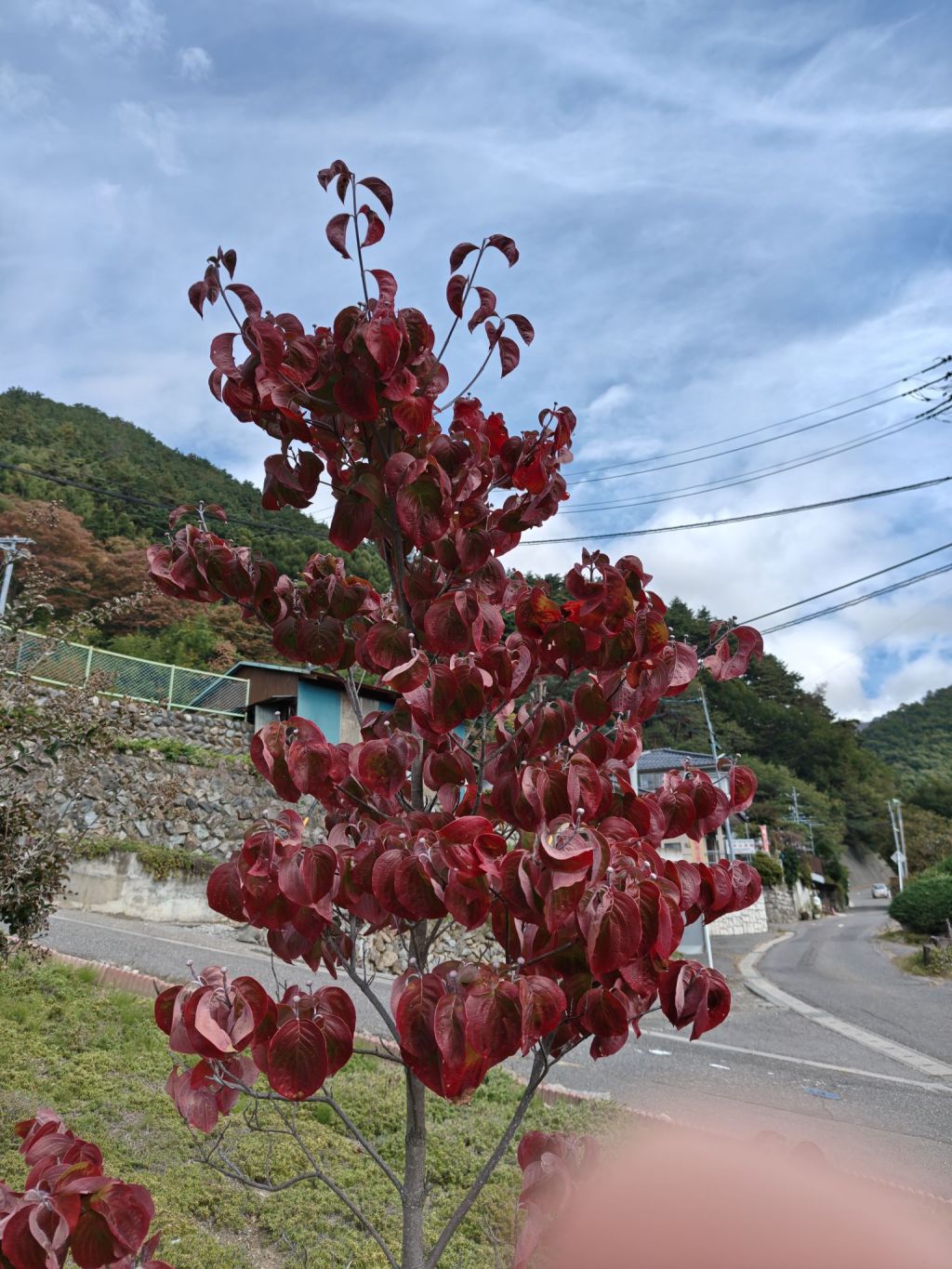仏教用語「一向」が教えてくれる「不安を消す集中力」
