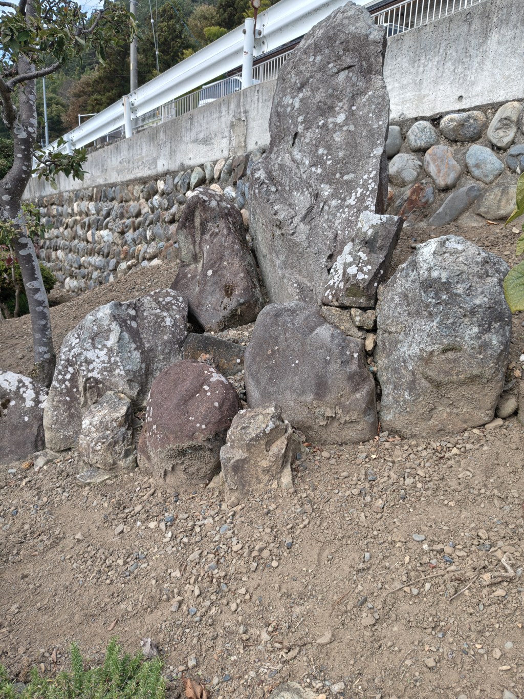 「非情」は人への批判ではなかった？ 仏教語源が教える、私たちが大切にすべきものとは？