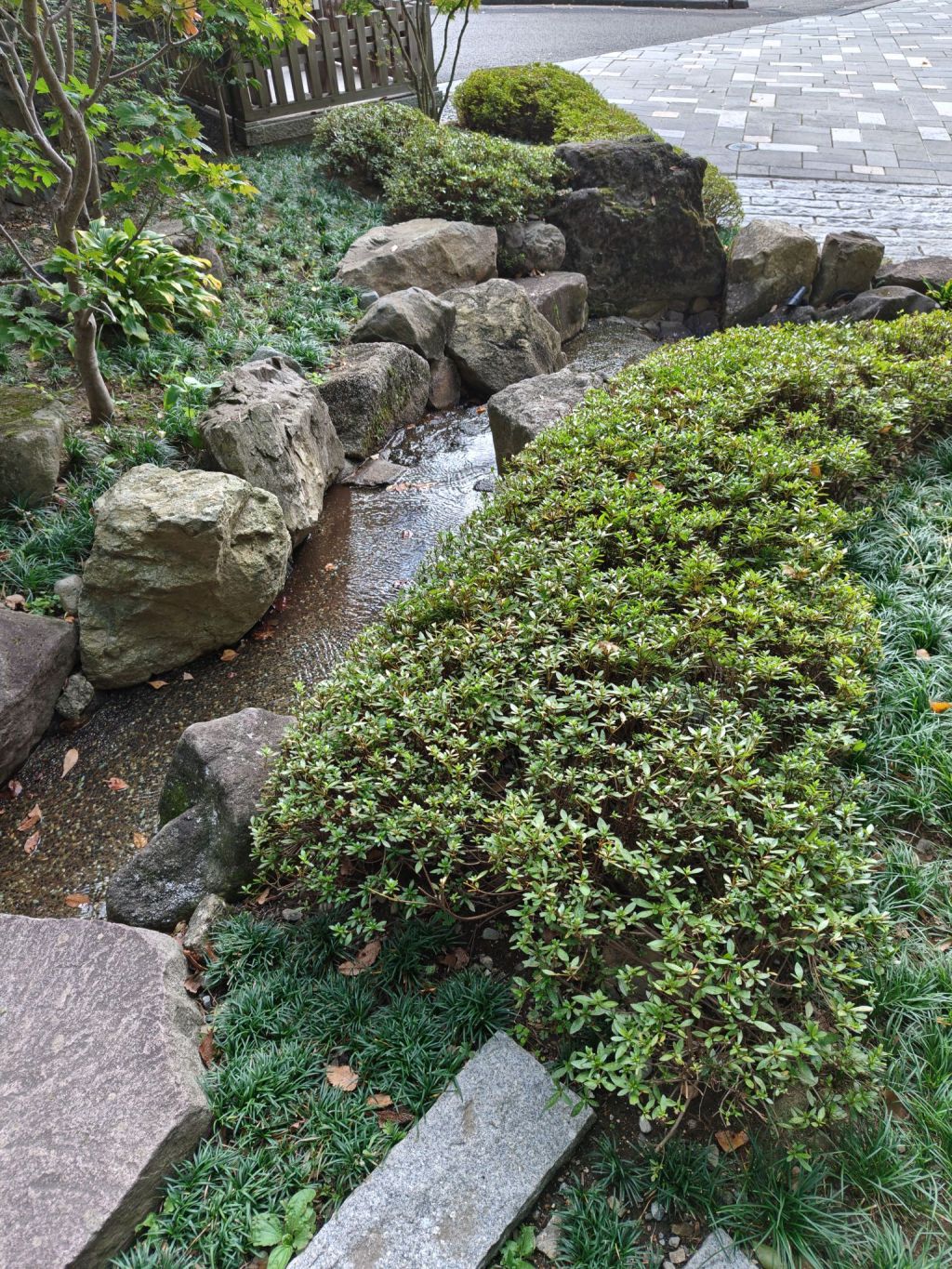 ​仏教用語としての「逆流」とは！？