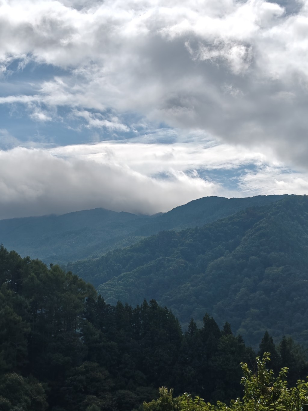 【なぜ「〇〇山」?】お寺の山号に隠された仏教の智慧と、あなたの人生を豊かにするヒント