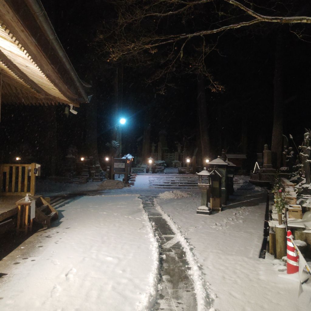 【仏教用語】「専念」の本当の意味をご存知ですか? 心を晴れやかにする仏教の智慧