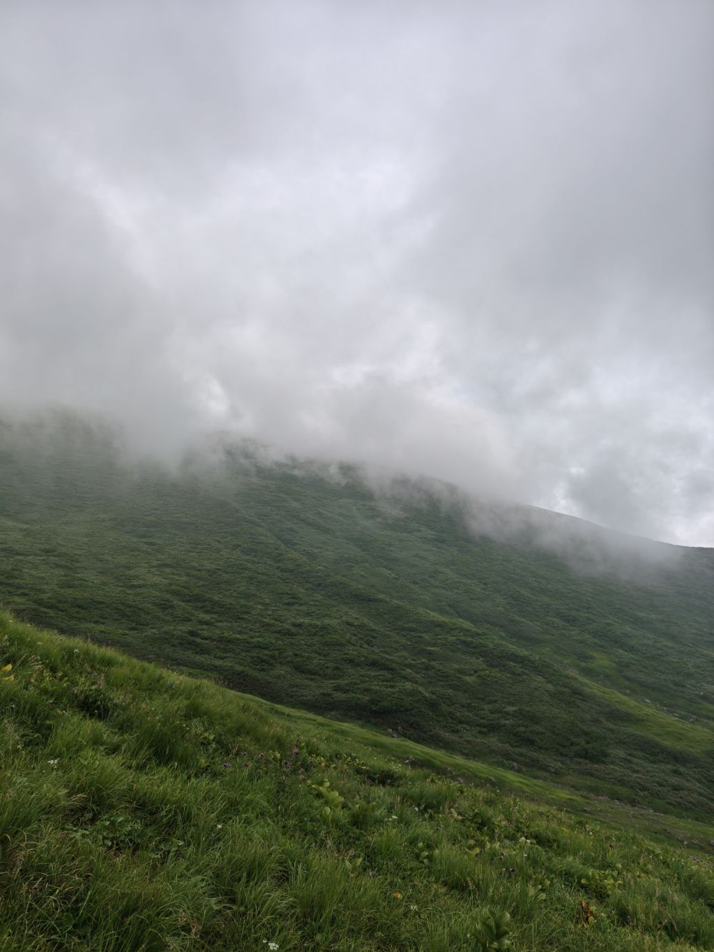 「失念」の正体とは！？仏教用語に秘められた、人生を整える言葉の語源